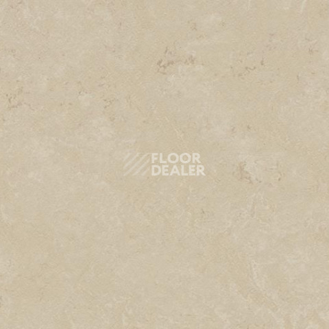 Кварцвиниловые полы Forbo Marmoleum Modular t3711 cloudy sand фото 1 | FLOORDEALER